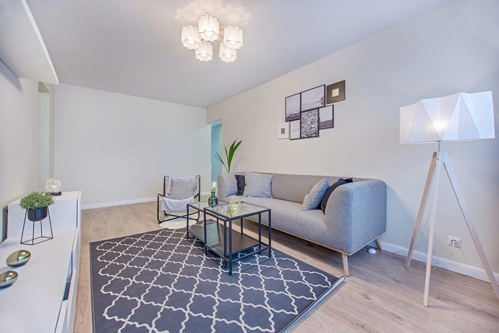 Modern living room with gray sofa and patterned rug.