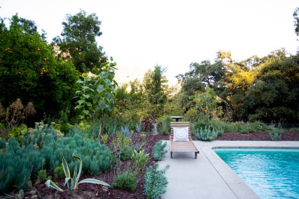 A serene backyard with a pool and a lounge chair surrounded by lush greenery.