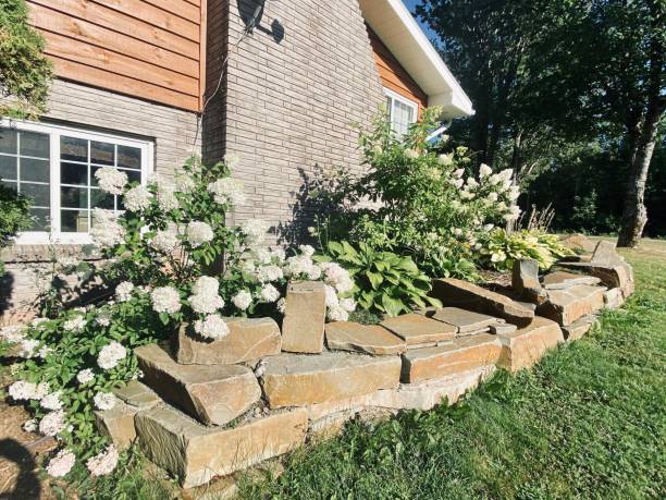 Stone steps bordered by lush white flowering plants beside a brick and stone house.