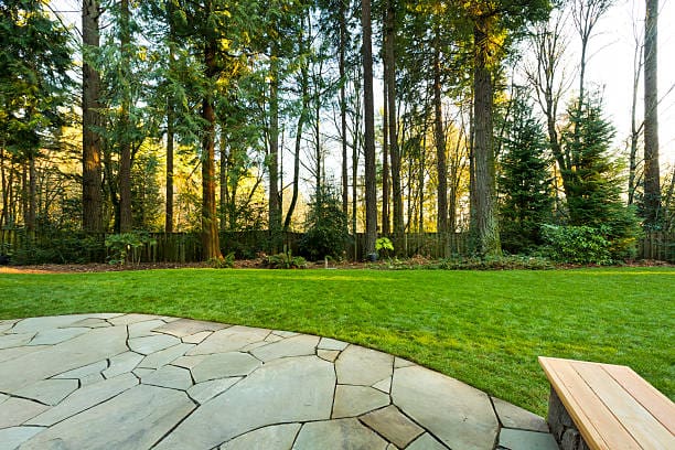 A serene backyard with tall trees and a stone patio.