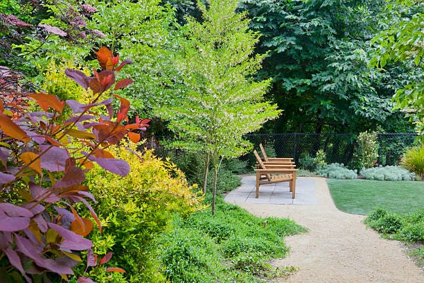 Peaceful garden path with a wooden bench surrounded by lush greenery.