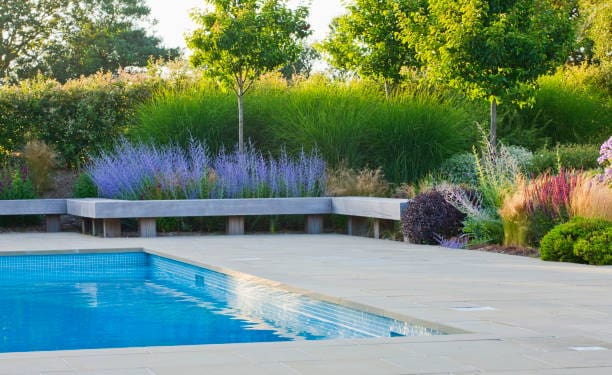 A serene poolside scene with lush greenery and purple flowers.