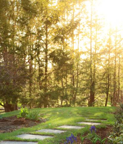 Sunlight filters through tall trees over a lush garden path.