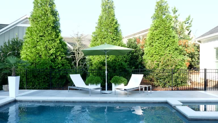 Poolside scene with two lounge chairs and a green umbrella between tall trees.