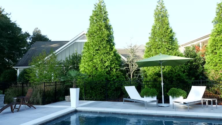 A serene poolside scene with tall trees and lounge chairs under an umbrella.