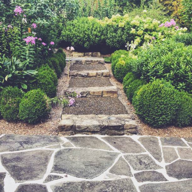 Stone pathway with steps surrounded by lush green bushes and flowering plants.