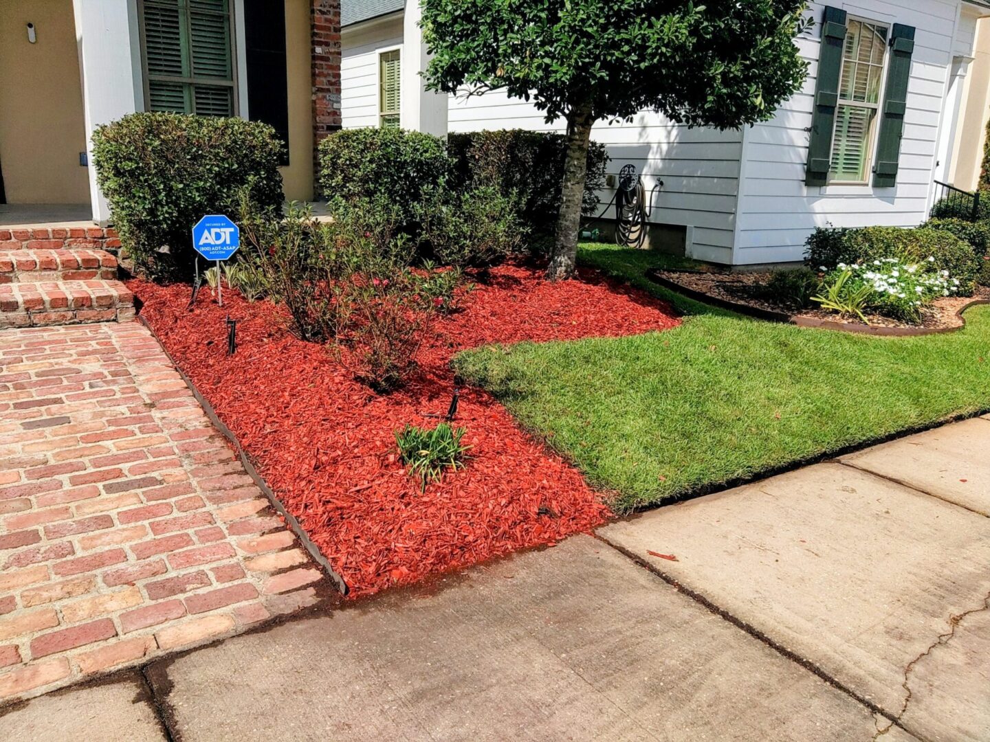 Freshly mulched garden bed with young plants beside a green lawn.