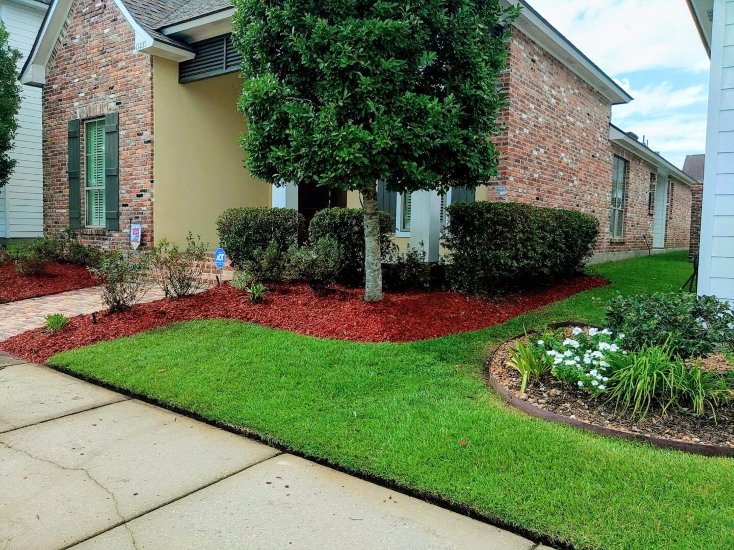 Neatly landscaped front yard with green grass, mulch, and a tree.