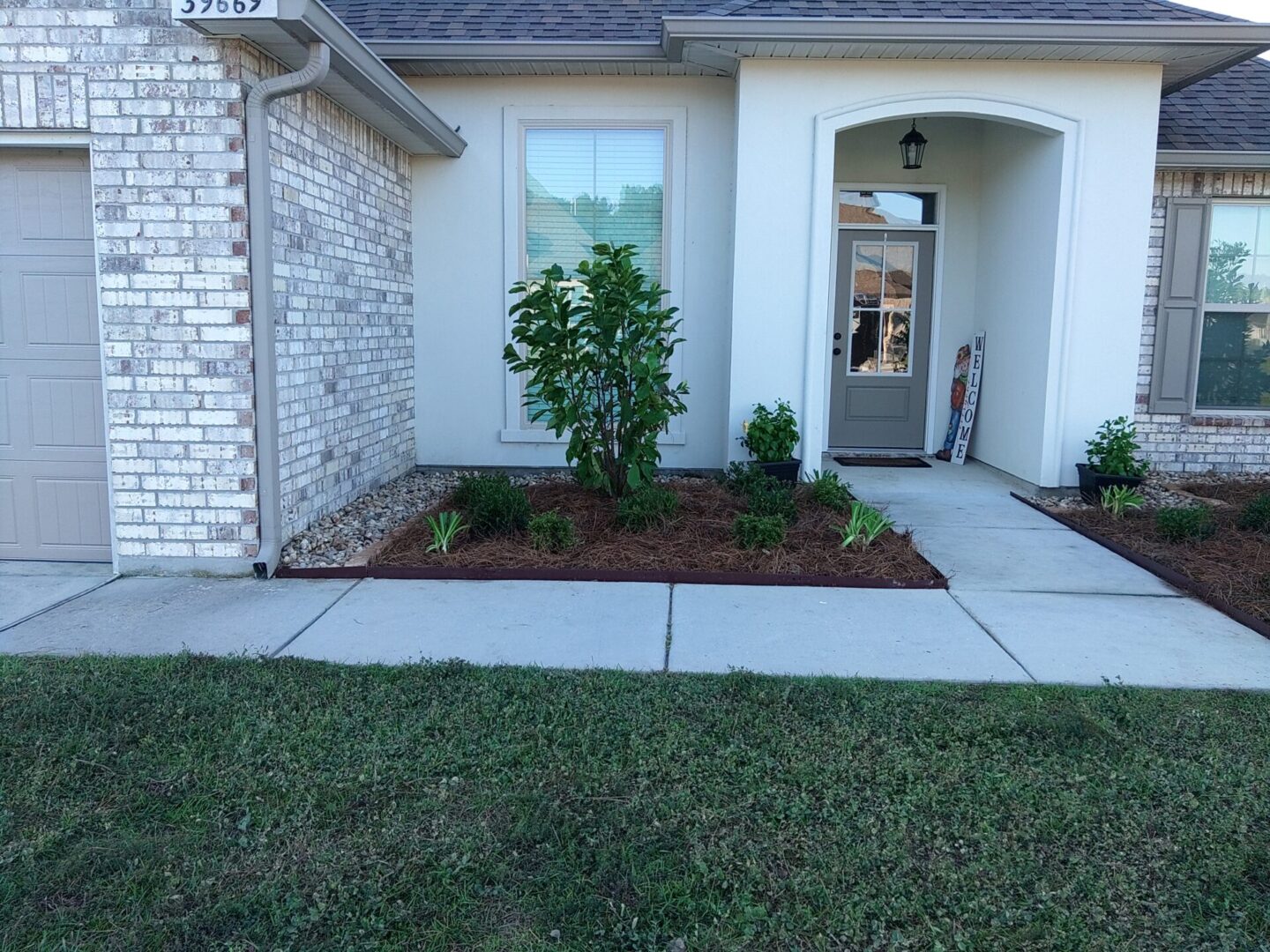 A small, neatly mulched garden bed with a shrub and young plants near a brick house entrance.