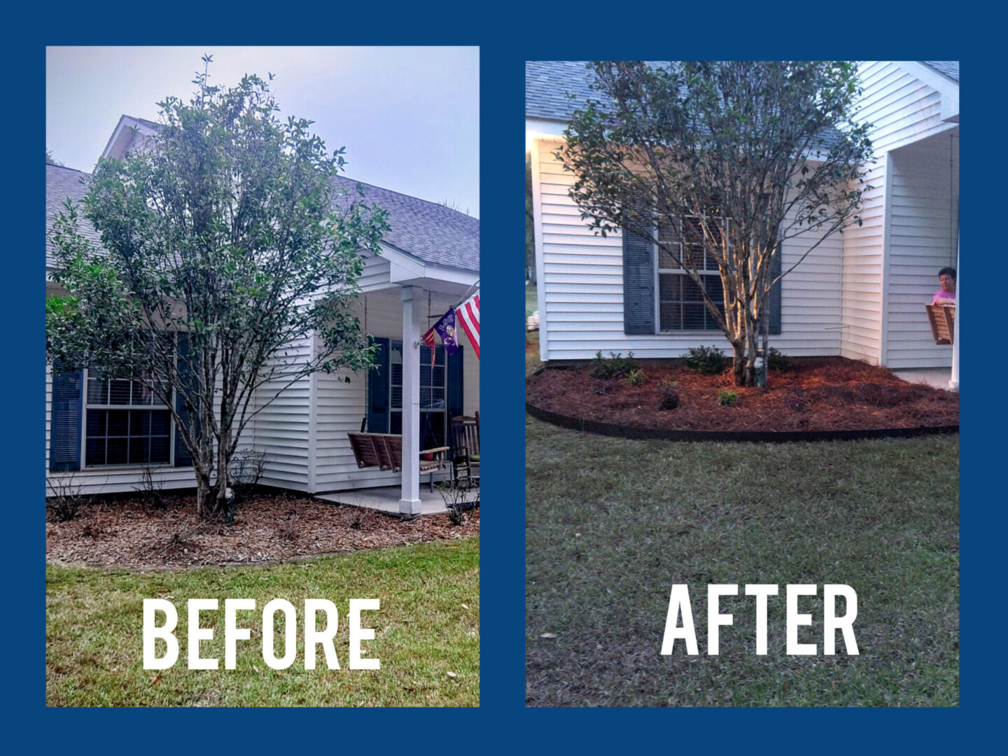 Front yard tree transformed with new mulch and cleaner landscaping.