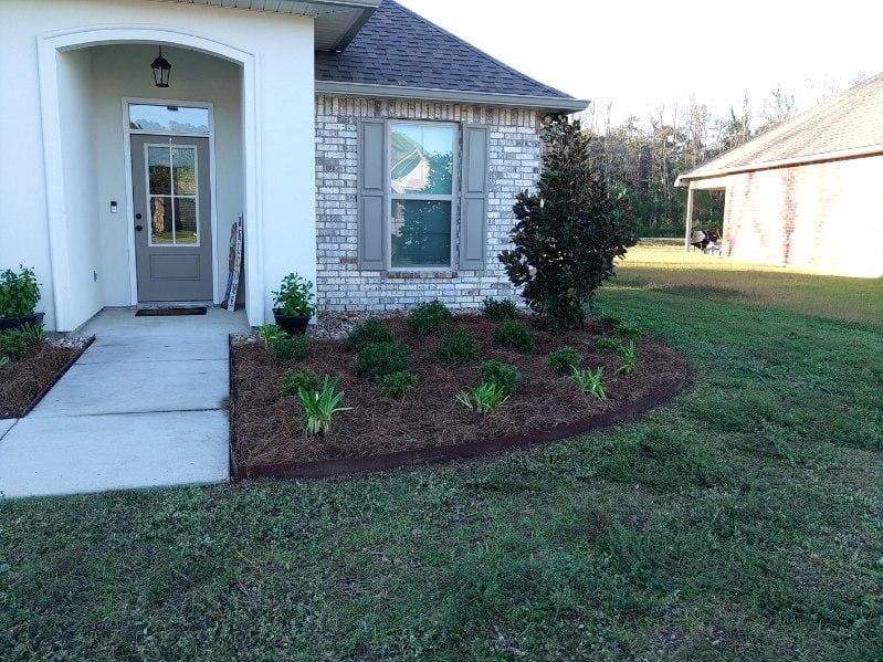 Freshly mulched garden bed with new plants near a house.